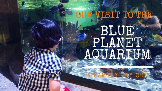 Our Visit to the Blue Planet Aquarium