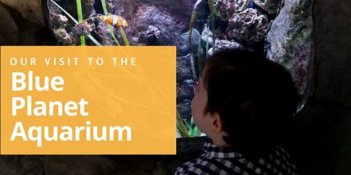 our visit to the blue planet aquarium